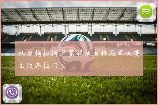 帕尔梅拉斯卫冕解放者杯冠军决赛击败弗拉门戈