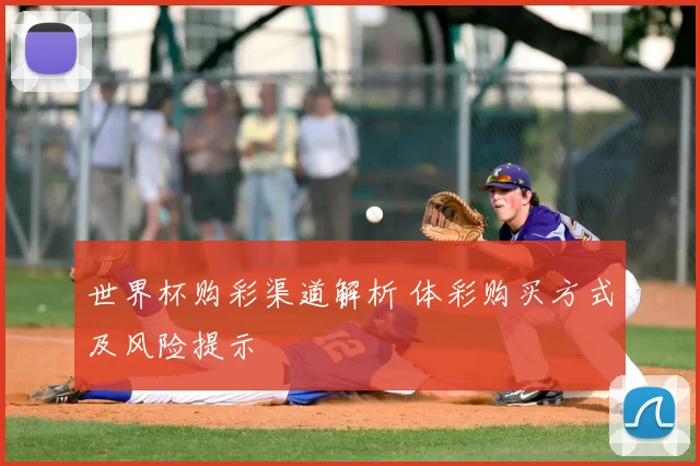 世界杯购彩渠道解析 体彩购买方式及风险提示