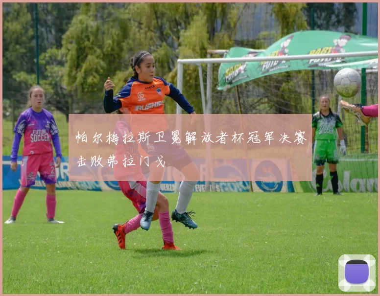 帕尔梅拉斯卫冕解放者杯冠军决赛击败弗拉门戈