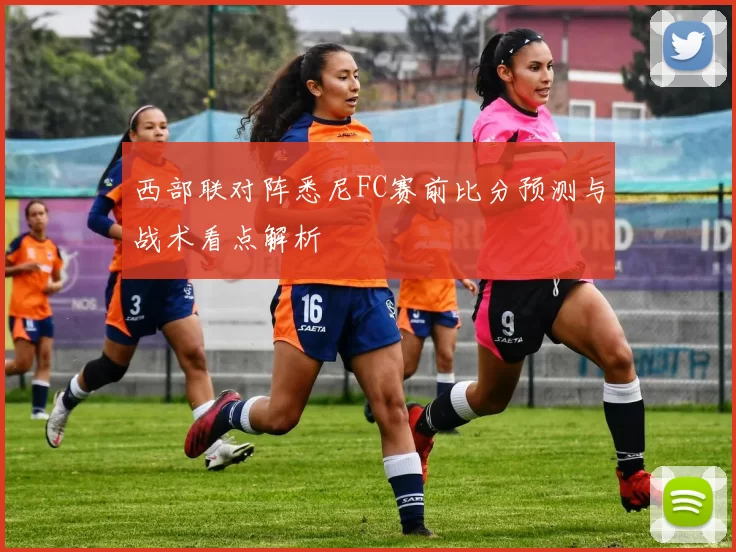 西部联对阵悉尼FC赛前比分预测与战术看点解析